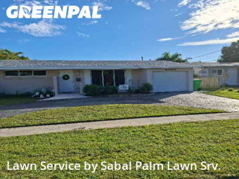 Grass Cutin Sunrise,33322,Lawn Mow by Sabal Palm Lawn Srv., work completed in Feb , 2026