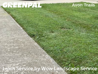 Yard Care in Avon, 46123, Backyard Mowing by Wow Landscape Service, work completed in Nov , 2025