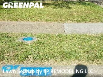 Yard Cutting nearby Sugar Land, TX, 