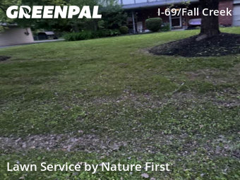 Lawn Mowing nearby Indianapolis, IN, 
