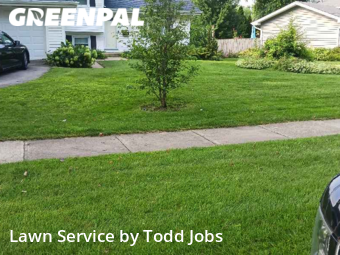 Lawn Maintenance nearby Carol Stream, IL, 