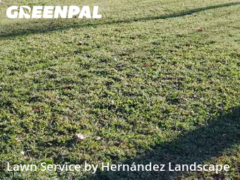 Turf Services in Lansdowne, 19050, Yard Grooming by Hernández Landscape, work completed in Dec , 2025