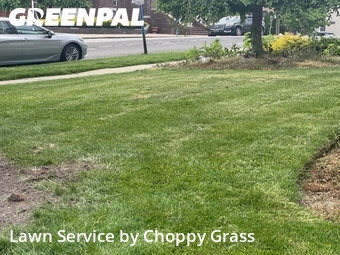 Grass Cut nearby Palisades Park, NJ, 