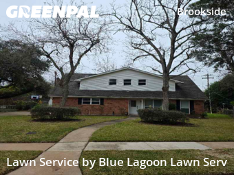 Lawn Care Servicein Sugar Land,77478,Yard Mowing by Blue Lagoon Lawn Serv, work completed in Feb , 2026