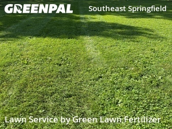 Yard Cutting nearby Springfield, MO, 