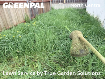 Landscaper In Pasadena,91103,Landscaping Renovation by True Garden Solutions, work completed in Feb , 2026