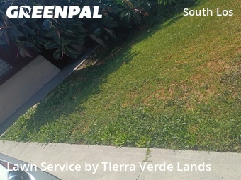 Grass Cut nearby Los Angeles, CA, 
