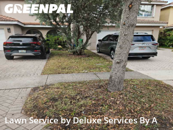 Grass Cutin Sunrise,33351,Lawn Mowing by Deluxe Services By A, work completed in Dec , 2025