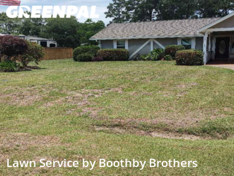 Grass Cut nearby Navarre, FL, 