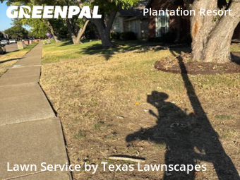 Landscaping Services In Frisco,75035,Landscaping Installation by Texas Lawnscapes, work completed in Nov , 2025