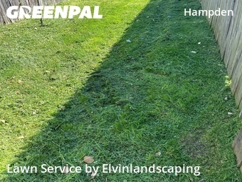 Lawn Mow nearby Baltimore, MD, 