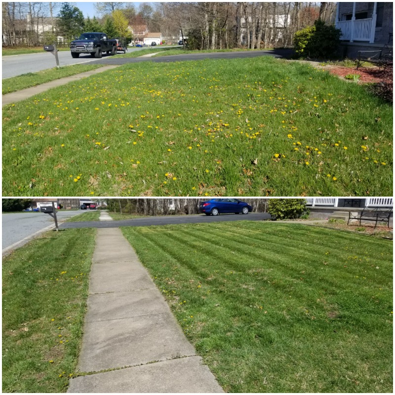 Schmidt's Multi Care Lawn Care Services in Bear, DE