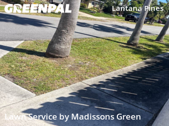 Yard Mowing nearby Lantana, FL, 