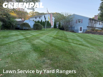 Yard Management in Southington, 6489, Lawn Upkeep by Yard Rangers, work completed in Nov , 2025