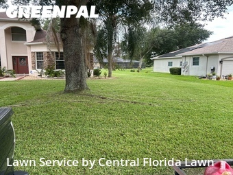 Lawn Mow nearby Auburndale, FL, 