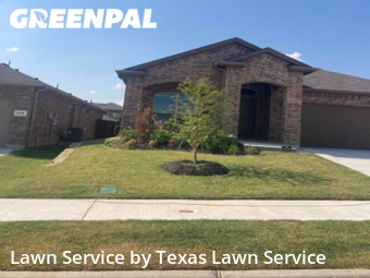 Grass Cutting nearby Fort Worth, TX, 