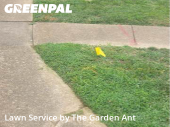 Lawn Cuttingin Ballwin,63011,Lawn Cut by The Garden Ant , work completed in Dec , 2025