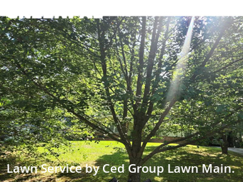 Lawn Mowing nearby Atlanta, GA, 