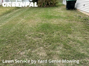 Lawn Maintenance nearby Charlotte, NC, 