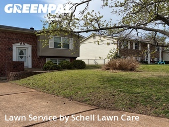 Lawn Mow nearby Fenton, MO, 