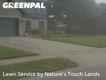 Grass Cutting nearby Indianapolis, IN, 