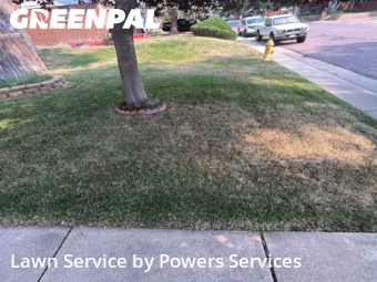 Lawn Maintenancein Northglenn,80233,Yard Cutting by Powers Services, work completed in Feb , 2026
