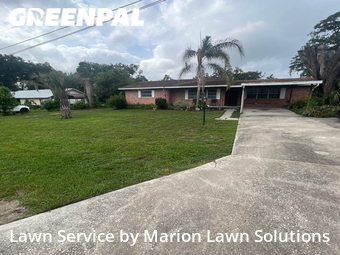 Yard Cutting nearby Belleview, FL, 