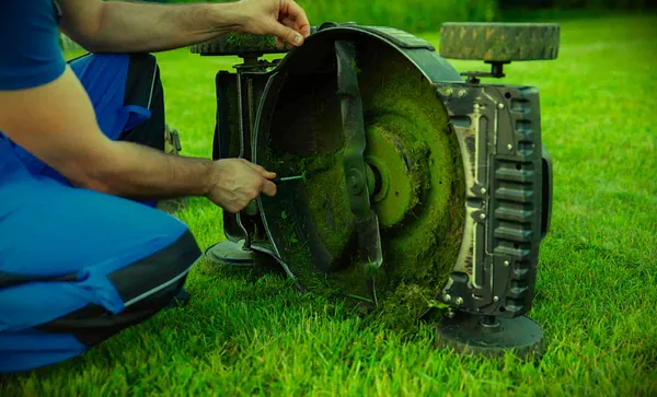 Javis Lawnmower Repair shop Photo 3