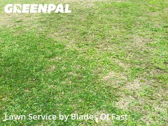 Yard Mowing nearby College Park, GA, 