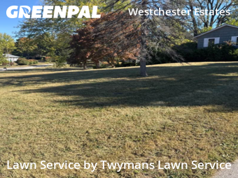 Grass Cut nearby Indianapolis, IN, 