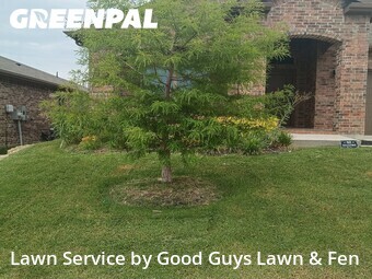 Yard Cutting nearby Fort Worth, TX, 
