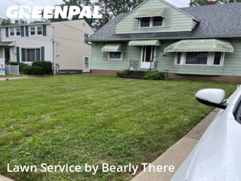 Lawn Mow nearby Cleveland, OH, 