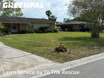 Lawn Mowing nearby Jacksonville Beach, FL, 