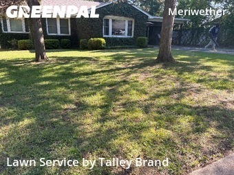 Lawn Mowing nearby Little Rock, AR, 