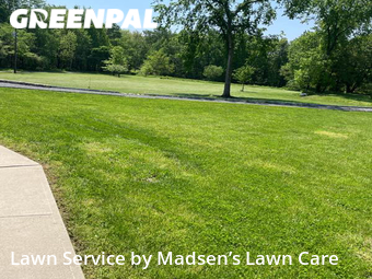 Lawn Mow nearby Montgomery, NY, 