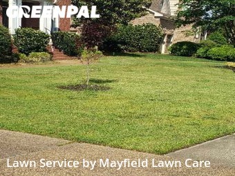 Yard Cutting nearby Suffolk, VA, 