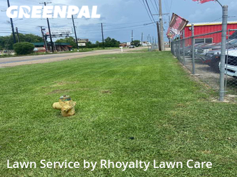 Yard Cutting nearby Lafayette, LA, 