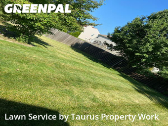 Grass Cut nearby Greenwood, IN, 