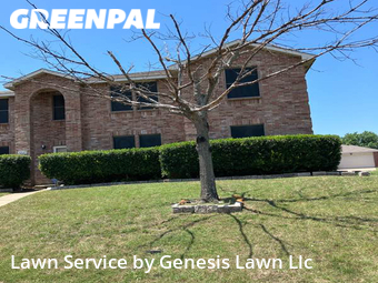 Grass Cut nearby Lancaster, TX, 