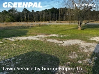 Lawn Mowing Service nearby Jacksonville, FL, 