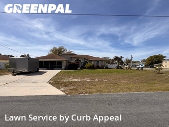 Grass Cut nearby Spring Hill, FL, 