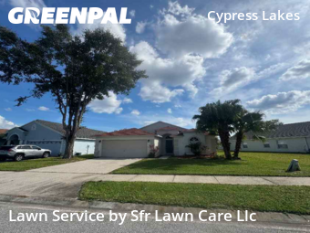 Lawn Carein Oldsmar,34677,Yard Mowing by Sfr Lawn Care Llc, work completed in Nov , 2025
