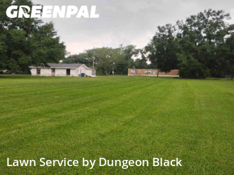 Lawn Mowing Service nearby Gonzales, LA, 