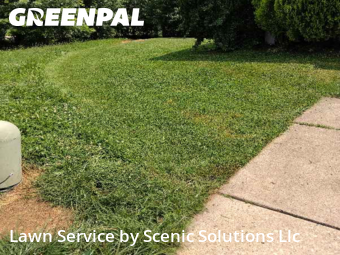 Lawn Mow nearby Middle River, MD, 