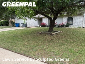 Lawn Cut nearby Allen, TX, 