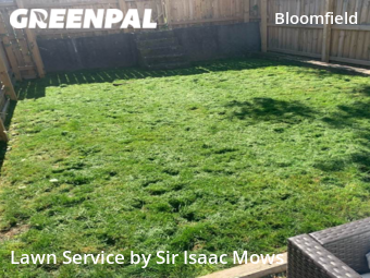 Yard Mowing nearby Pittsburgh, PA, 