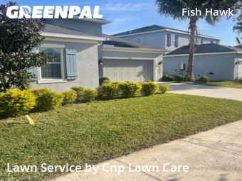 Lawn mowed in Fish Hawk, 33547