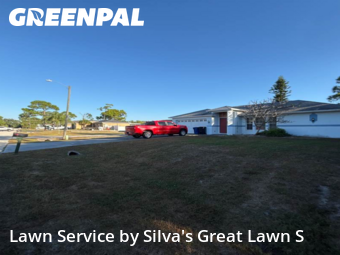 Grass Cut nearby Fort Myers, FL, 