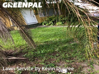 Yard Cutting nearby Tampa, FL, 
