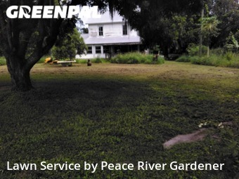 Yard Cutting nearby Mulberry, FL, 